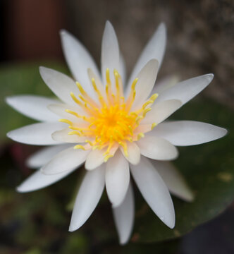 加拿大PC28官网丰富彩票玩法